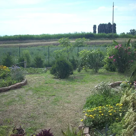 Da Toni 3* Taglio Di Po