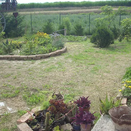 Da Toni Bed & Breakfast 3*