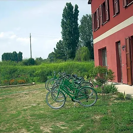 Da Toni Taglio di Po