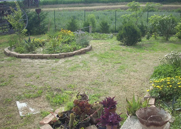 Da Toni Bed & Breakfast 3*