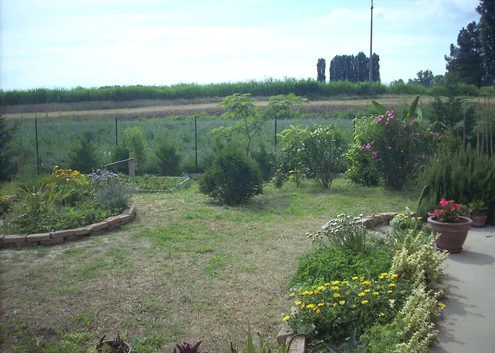 Da Toni 3* Taglio di Po